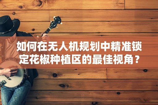 如何在无人机规划中精准锁定花椒种植区的最佳视角？