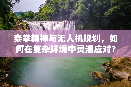 泰拳精神与无人机规划，如何在复杂环境中灵活应对？