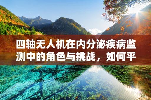 四轴无人机在内分泌疾病监测中的角色与挑战，如何平衡隐私与健康？