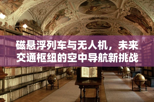 磁悬浮列车与无人机，未来交通枢纽的空中导航新挑战？