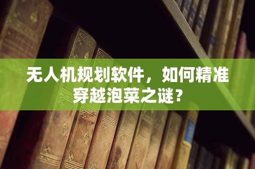 无人机规划软件，如何精准穿越泡菜之谜？