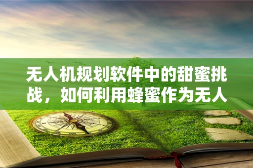 无人机规划软件中的甜蜜挑战，如何利用蜂蜜作为无人机自主导航的辅助信息？