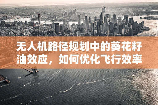 无人机路径规划中的葵花籽油效应，如何优化飞行效率？