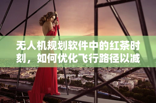 无人机规划软件中的红茶时刻，如何优化飞行路径以减少茶园干扰？