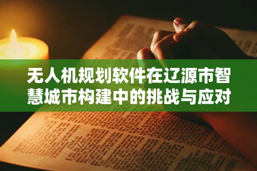 无人机规划软件在辽源市智慧城市构建中的挑战与应对策略