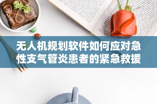 无人机规划软件如何应对急性支气管炎患者的紧急救援任务？