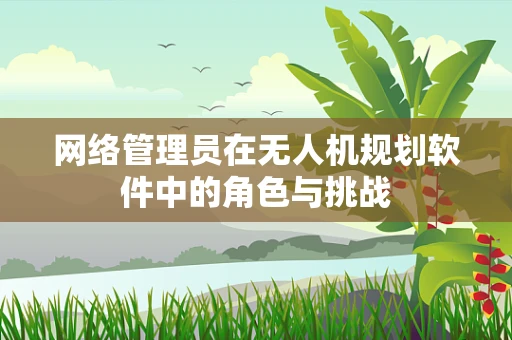 网络管理员在无人机规划软件中的角色与挑战