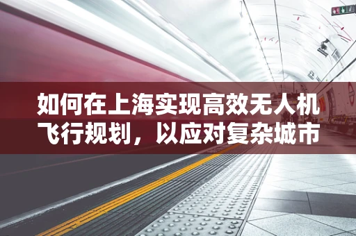 如何在上海实现高效无人机飞行规划，以应对复杂城市环境？
