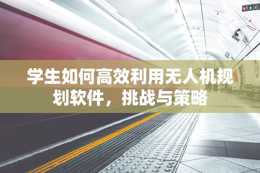 学生如何高效利用无人机规划软件，挑战与策略