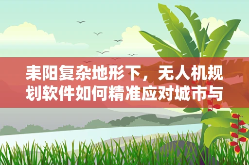 耒阳复杂地形下，无人机规划软件如何精准应对城市与乡村的挑战？