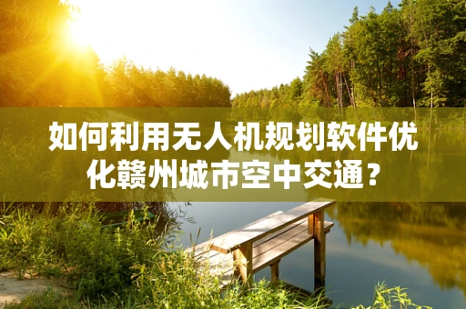 如何利用无人机规划软件优化赣州城市空中交通？
