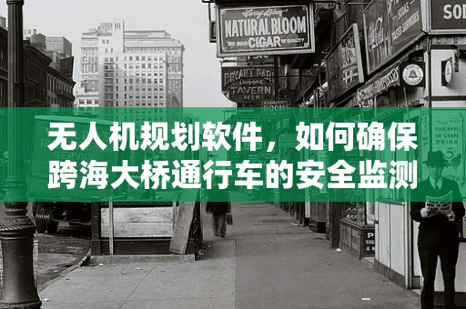无人机规划软件，如何确保跨海大桥通行车的安全监测？