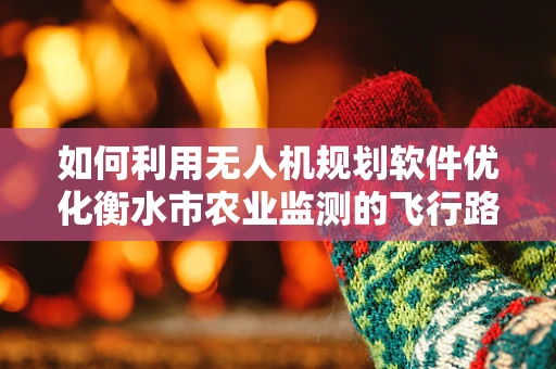 如何利用无人机规划软件优化衡水市农业监测的飞行路径？