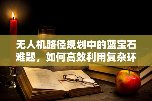 无人机路径规划中的蓝宝石难题，如何高效利用复杂环境下的光敏导航？