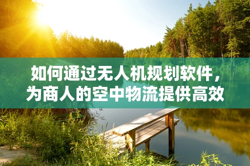 如何通过无人机规划软件，为商人的空中物流提供高效解决方案？