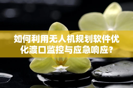 如何利用无人机规划软件优化渡口监控与应急响应？
