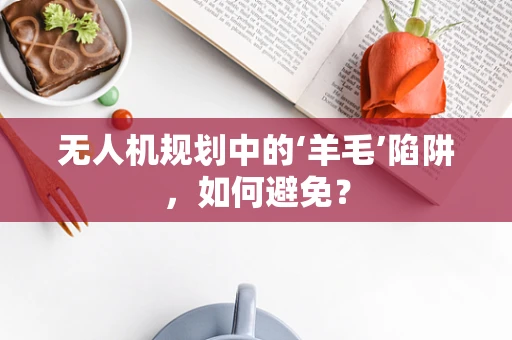 无人机规划中的‘羊毛’陷阱，如何避免？