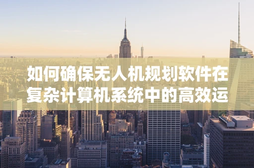 如何确保无人机规划软件在复杂计算机系统中的高效运行？