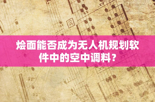 烩面能否成为无人机规划软件中的空中调料？