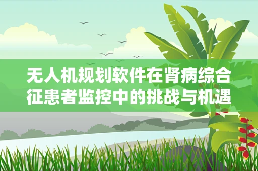 无人机规划软件在肾病综合征患者监控中的挑战与机遇
