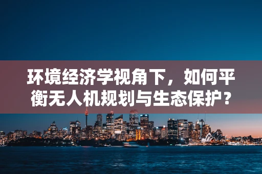 环境经济学视角下，如何平衡无人机规划与生态保护？
