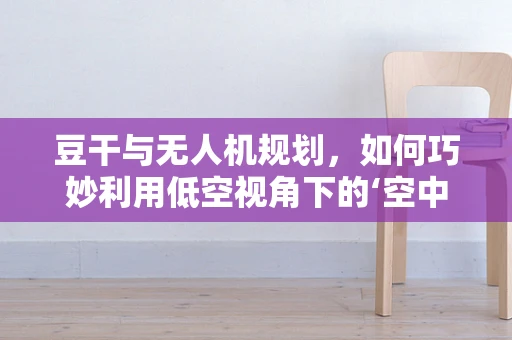 豆干与无人机规划，如何巧妙利用低空视角下的‘空中豆干’监测？