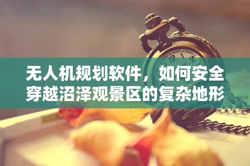 无人机规划软件，如何安全穿越沼泽观景区的复杂地形？