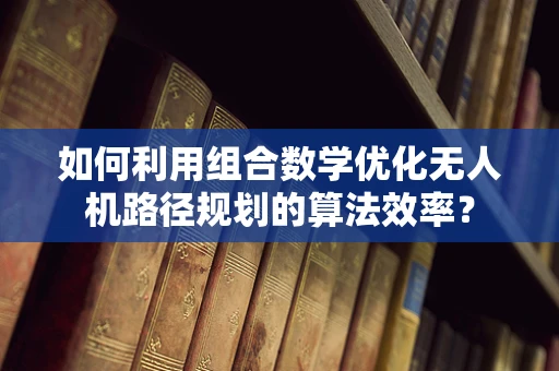 如何利用组合数学优化无人机路径规划的算法效率？