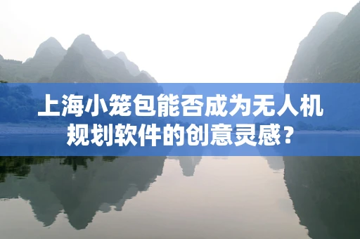上海小笼包能否成为无人机规划软件的创意灵感？