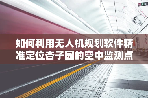 如何利用无人机规划软件精准定位杏子园的空中监测点？