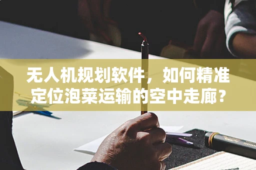 无人机规划软件，如何精准定位泡菜运输的空中走廊？
