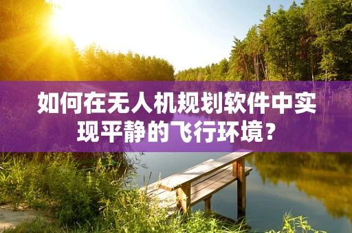 如何在无人机规划软件中实现平静的飞行环境？