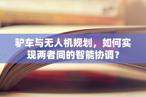 驴车与无人机规划，如何实现两者间的智能协调？