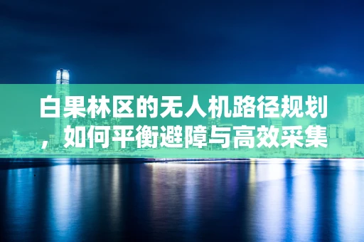 白果林区的无人机路径规划，如何平衡避障与高效采集？