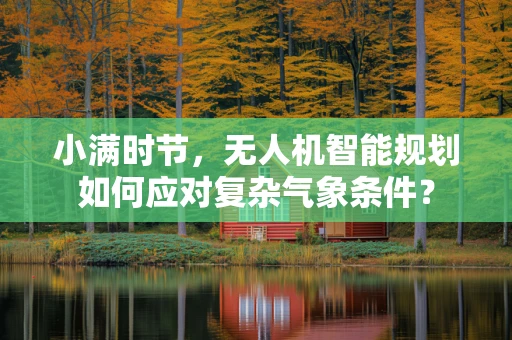 小满时节，无人机智能规划如何应对复杂气象条件？