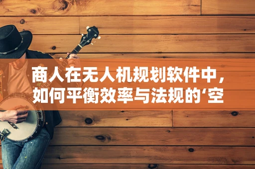 商人在无人机规划软件中，如何平衡效率与法规的‘空中舞蹈’？