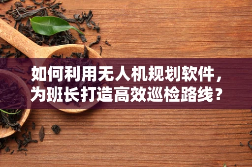 如何利用无人机规划软件，为班长打造高效巡检路线？