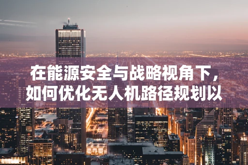 在能源安全与战略视角下，如何优化无人机路径规划以保障关键区域监控？