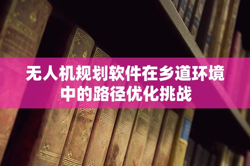 无人机规划软件在乡道环境中的路径优化挑战