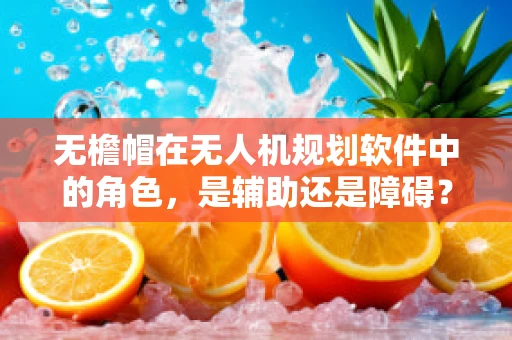 无檐帽在无人机规划软件中的角色，是辅助还是障碍？