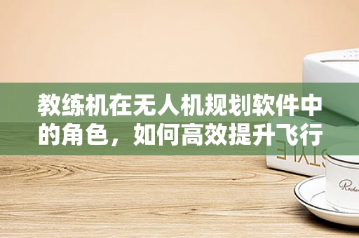 教练机在无人机规划软件中的角色，如何高效提升飞行训练效率？