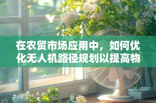 在农贸市场应用中，如何优化无人机路径规划以提高物资配送效率？