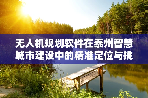 无人机规划软件在泰州智慧城市建设中的精准定位与挑战