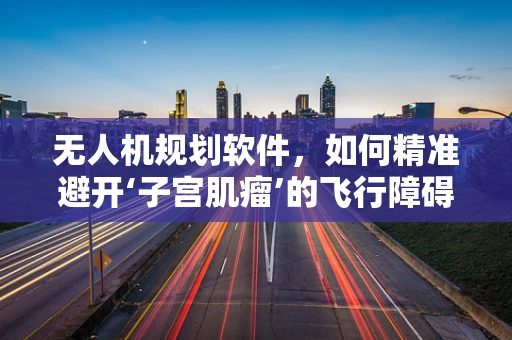 无人机规划软件，如何精准避开‘子宫肌瘤’的飞行障碍？