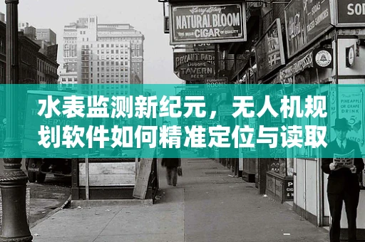 水表监测新纪元，无人机规划软件如何精准定位与读取？