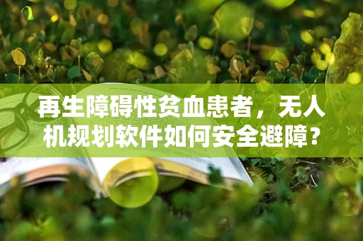 再生障碍性贫血患者，无人机规划软件如何安全避障？