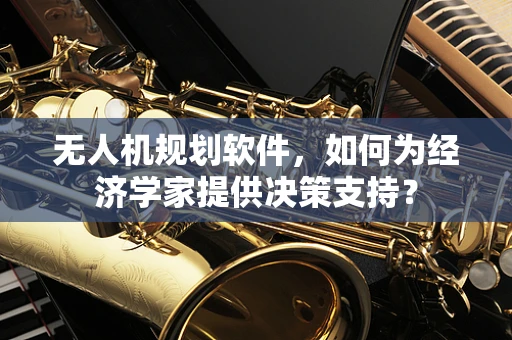 无人机规划软件，如何为经济学家提供决策支持？