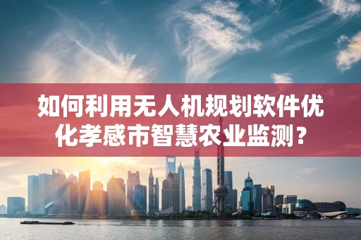 如何利用无人机规划软件优化孝感市智慧农业监测？