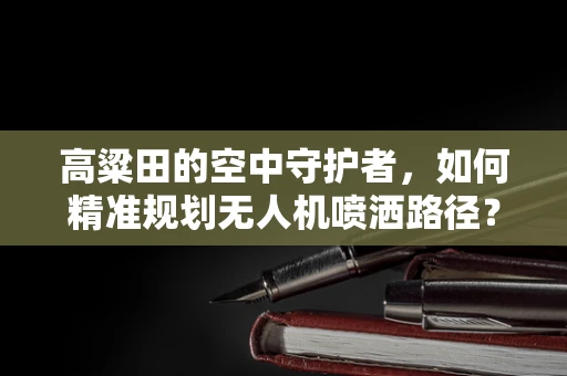 高粱田的空中守护者，如何精准规划无人机喷洒路径？