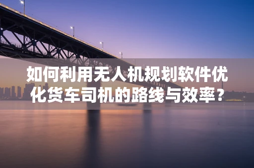 如何利用无人机规划软件优化货车司机的路线与效率？